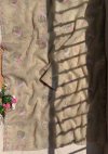 Jk 489 Chiffon With Sequence Work Saree